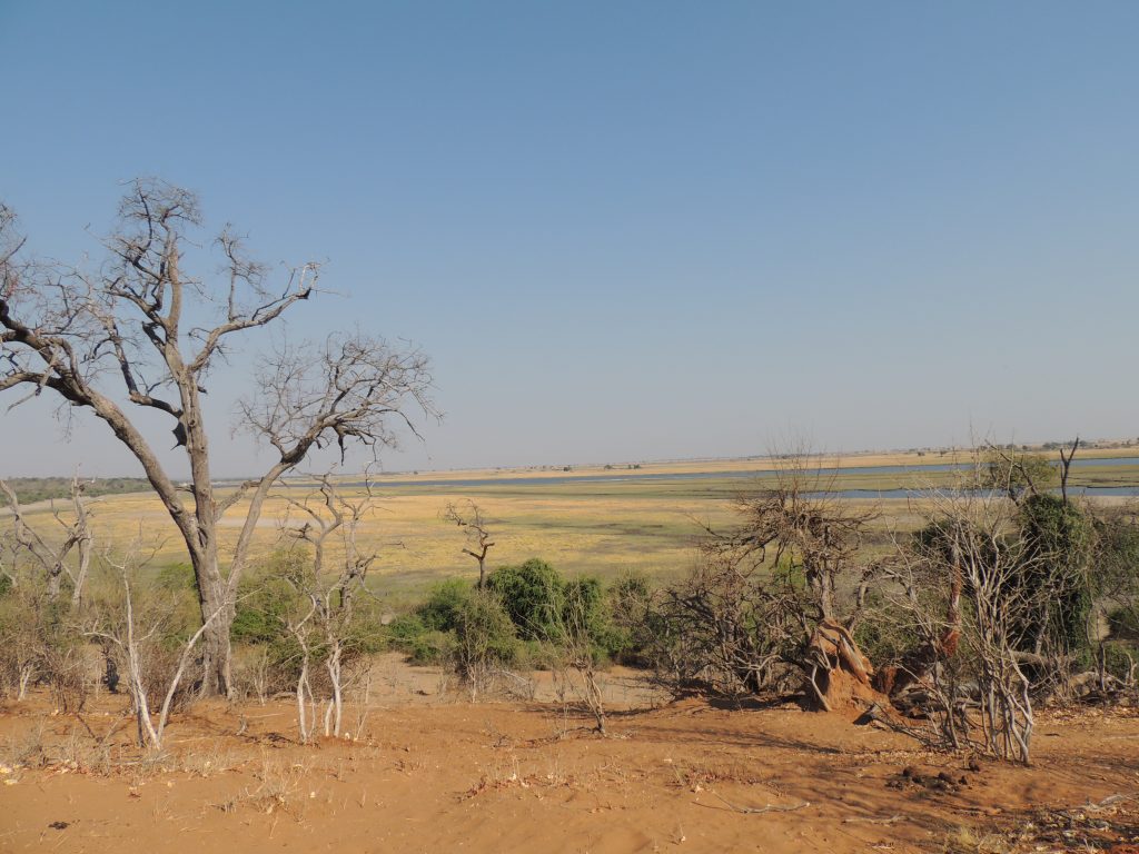 BOTSWANA WEBSITE BUSH
